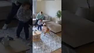 dog saves baby from an abusive nanny #respect