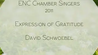Expression of Gratitude (2011) &bull; David Schwoebel