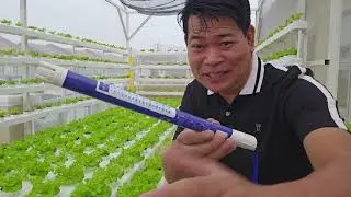 PPM level sa HydroponicsSa hydroponics, ang PPM (Parts Per Million) 