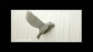 Cuckoo X CLOCK  Home