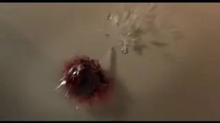#afiancodelcoraggio