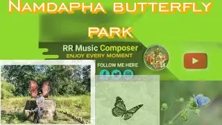 Explore Namdapha🦋 park😍 #Mpen 10 mile#Miao#Dist. Changlang (A.p)