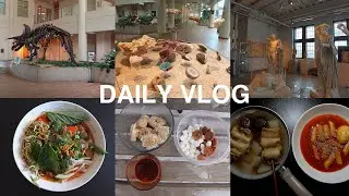 Daily Vlog: Picnic, Museum Date & Cooking 