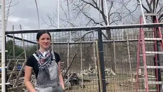 Mistakes & Changes to 🦮🐶Dog Run PVC Greenhouse🐾// from Campbell&rsquo;s Freedom Farm