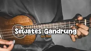 SEWATES GANDRUNG - Aziz Njati || Cover Ukulele By Amrii Official