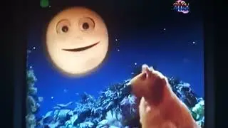 Bear in The Big Blue House - Beauty Of The Night Song (Polish/Polski)