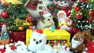 🐹 Hamster Relaxing for 10 Hours Between Santa & Christmas Tree 🎄 | Cozy Xmas Music  #ChristmasVibes