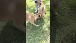 Continuing training for the future@@ 20