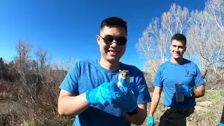 College Field Trip: The Nature of Vertebrate Zoology