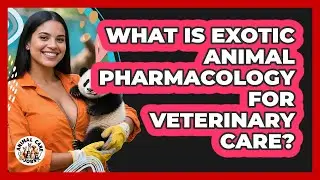 What Is Exotic Animal Pharmacology For Veterinary Care? - Animal Care Jobs