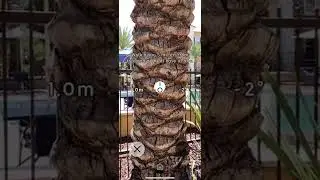Tree Height measure with inclination/declination. Biome App