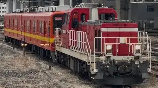【4K高画質】【8577F 大宮鉄道博物館での展示に伴う送り込み甲種輸送】JR貨物DD200形10号機＋東武8000系8577編成が大宮駅⑬到着！（9771レ・愛臨A955・甲42）2025.3.31