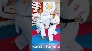 Kaeshi Kumite #karate #piatsko #kumite #martialarts #karateshorts #budo #karateblog  #zuki #profi
