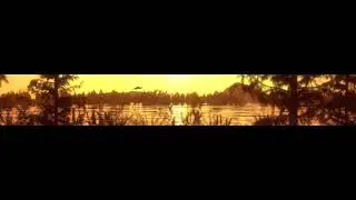 LED Video Wall Content - Great Blue Heron Flying Along River