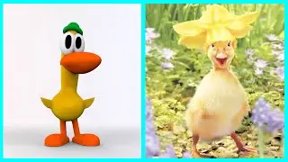 Pocoyo Characters IN REAL LIFE