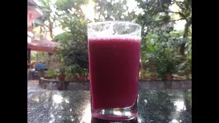 PINKSURPRISE | SAFARVIDEOGRAPHY | TASTYDELICIOUS |