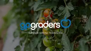 Sunripe Cherry Tomatoes - 4L AirJet Grader with MVCS & gpVision