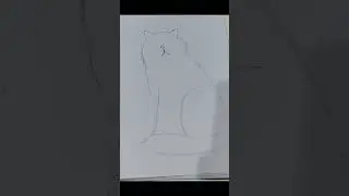how to draw all cat breeds (part 10: Exotic Shorthair Cat) 🐾✨💗