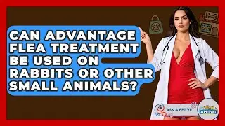 Can Advantage Flea Treatment Be Used On Rabbits Or Other Small Animals? - Ask A Pet Vet