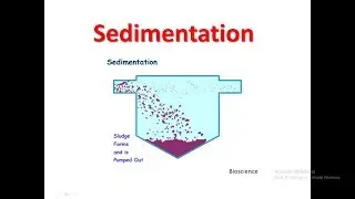 Sedimentation  Introduction,Process- Downstream Prcessing