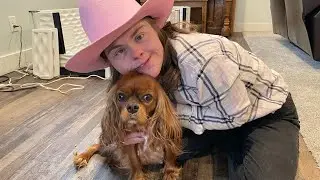 Preparing for the Arrival of Our Cavalier King Charles Spaniel Pups! (EZ Whelping & Puppy Culture)