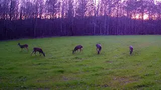 DEER CITY +/- 417 AC $417,000 ($1,000/AC)