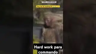 #peracommando #army #armymotivatoinrunnigh #armylover