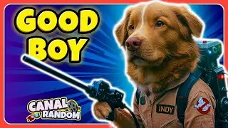 GOOD BOY 🐕 &iquest;El Perro que ve&iacute;a fantasmas? 👻