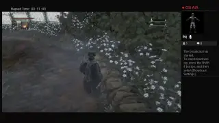 Me playing bloodblone it lite af