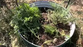 A quick clean of the herb bed and cleaning stain glass for market.🌞￼