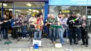 Bridgnorth Ukulele Band