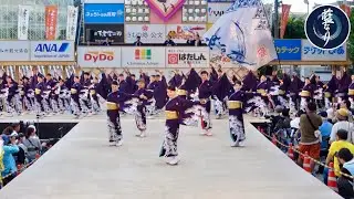 藍なり 高知よさこい全国大会2024 　高知城会場【月詠～TSUKIYOMI～】