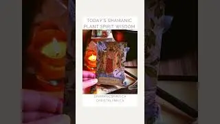 Christa Lynn, shamanic practitioner & shamanic teacher shares with you today&rsquo;s plant spirit message