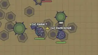 2vs2 moomoo.io(feat.Kaike and Zlxtx.)