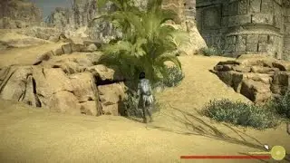 SHADOW OF THE COLOSSUS 15th Colossus Gold Coin at Entrance