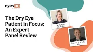 The Dry Eye Patient in Focus: An Expert Panel Review