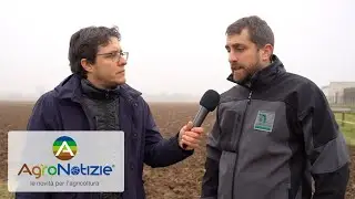 Efficacia di un agrofarmaco: cosa considerare