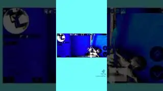 какая бабочка