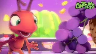 חלומות מתוקים פרותיים 🍇 קריקטורות בעברית לילדים | אנימה | @AntiksOfficial - אנטיקס בעברית