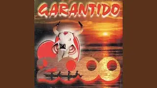 Evolução do Garantido