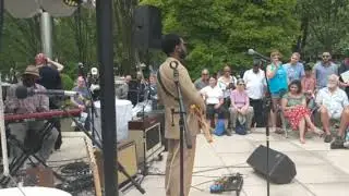 Stephen Hull - The Sky Is Cryin' - Chicago Blues Festival 2019