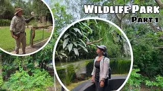 Exploring Territory Wildlife Park Darwin | Australia Travel Vlog