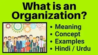 What is Organization | What is Organisation | Organization Meaning | Organization Kya Hota Hai