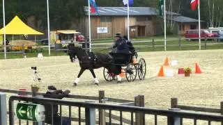 Luhmuhlen - Nicola Cones