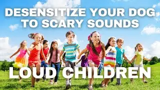 Dog&nbsp;Desensitization&nbsp;Sounds&nbsp;for Dogs & Puppies: Children Playing