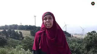 Witu Mjini in Lamu Team building in CEMASTEA and Ngong Hills@kenyacitizentv
