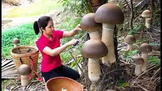 Harvesting 1000+Kg Coral Mushrooms In Forest To Sell At Market, Cook Delicious Dishes With Mushroom