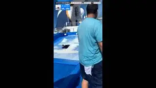 Sailing the Inside Passage to Juneau-Ovation of the Seas-from the Flowrider