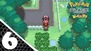 Pokemon Black Randomized Nuzlocke Ep 6: Pinwheel Forest