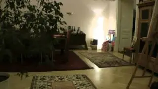 SteadyCam Test
